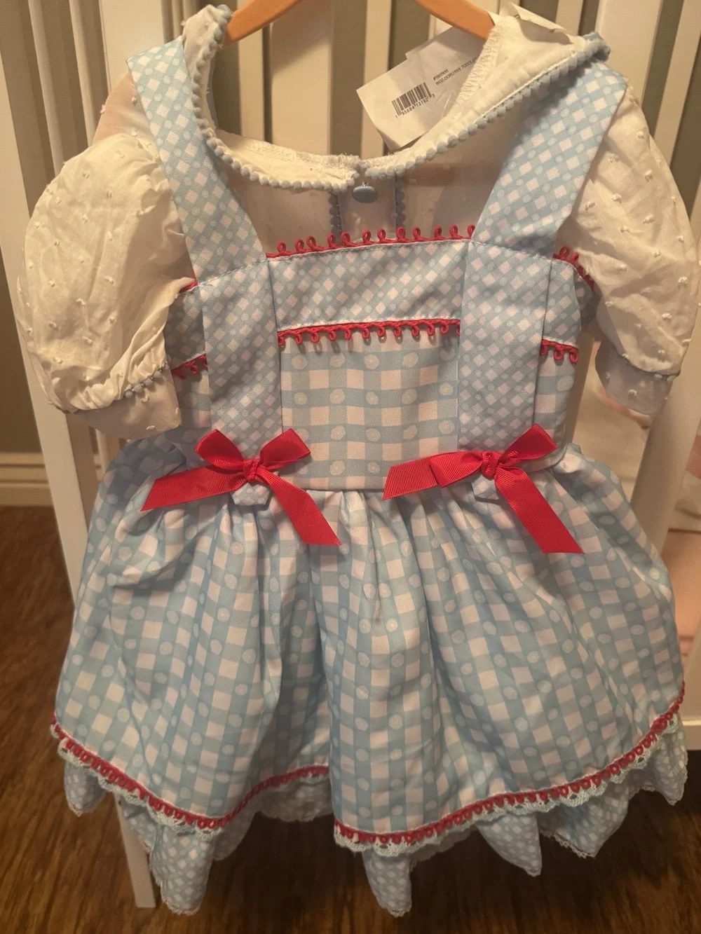 Blue and White Check Girls' Dorothy Costume Dress.